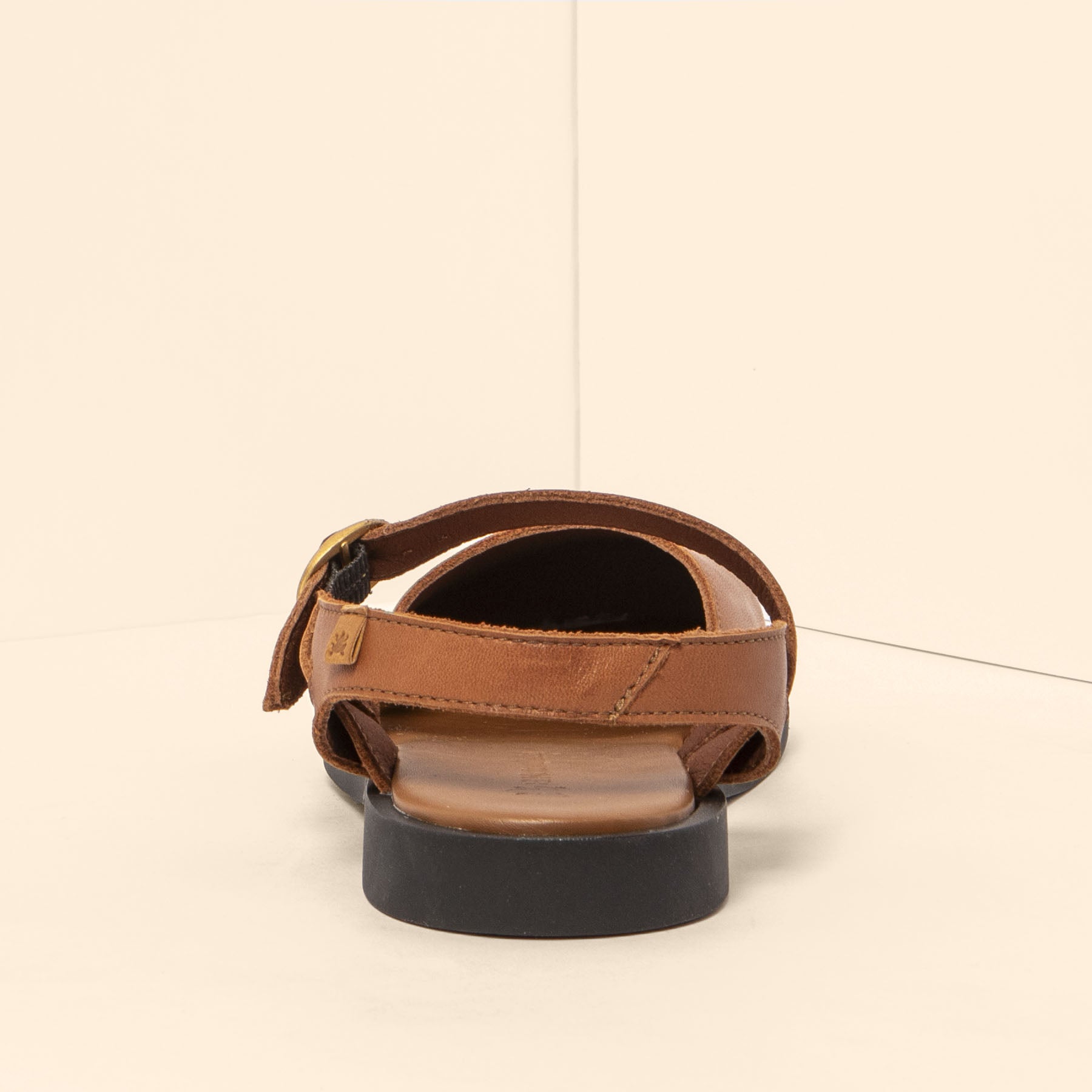 gid://shopify/Product/15700599603532_5