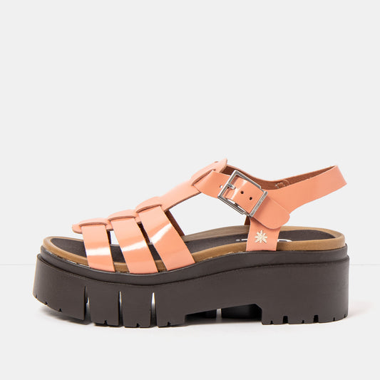 gid://shopify/Product/16173083165004_1