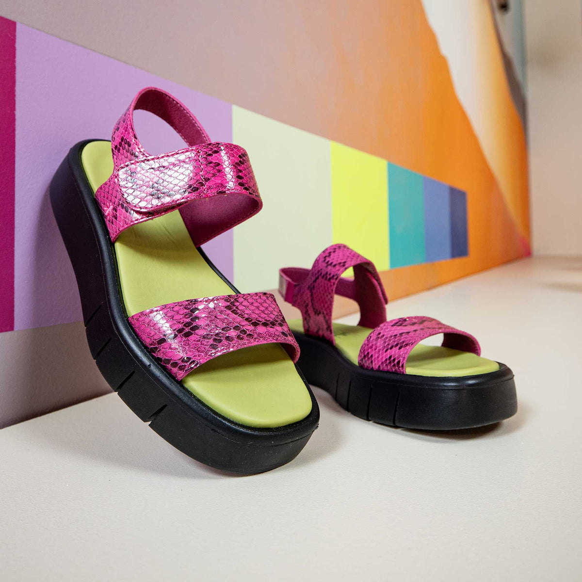gid://shopify/Product/16172066406732_7