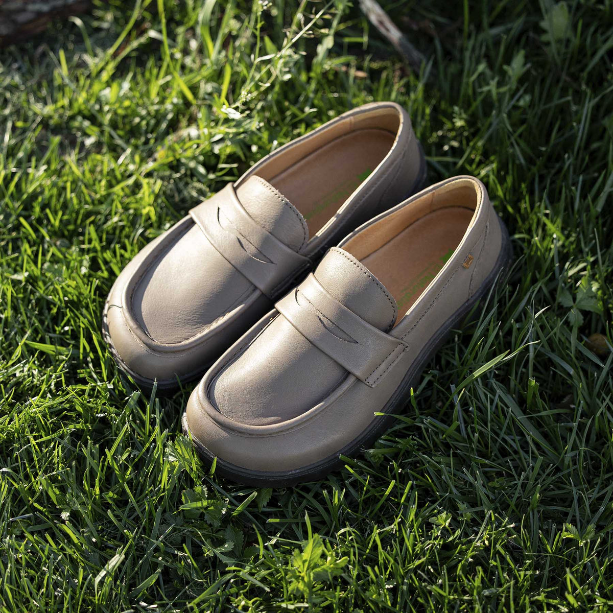gid://shopify/Product/16124637774156_7