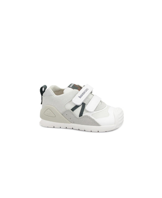 gid://shopify/Product/15738066305356_1