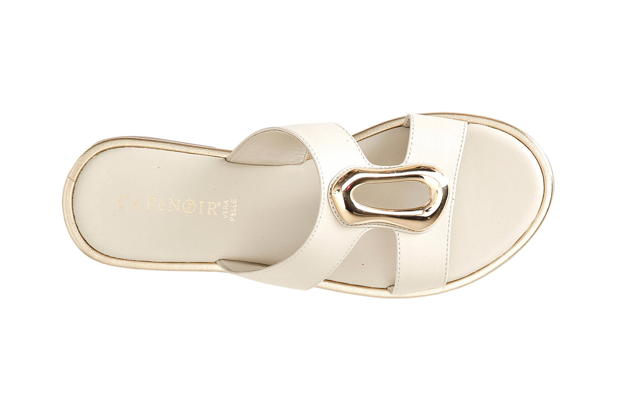 gid://shopify/Product/16122026066252_3