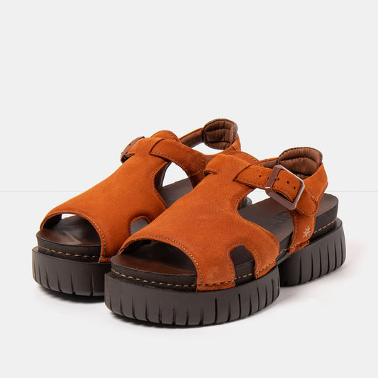 gid://shopify/Product/16172986892620_2