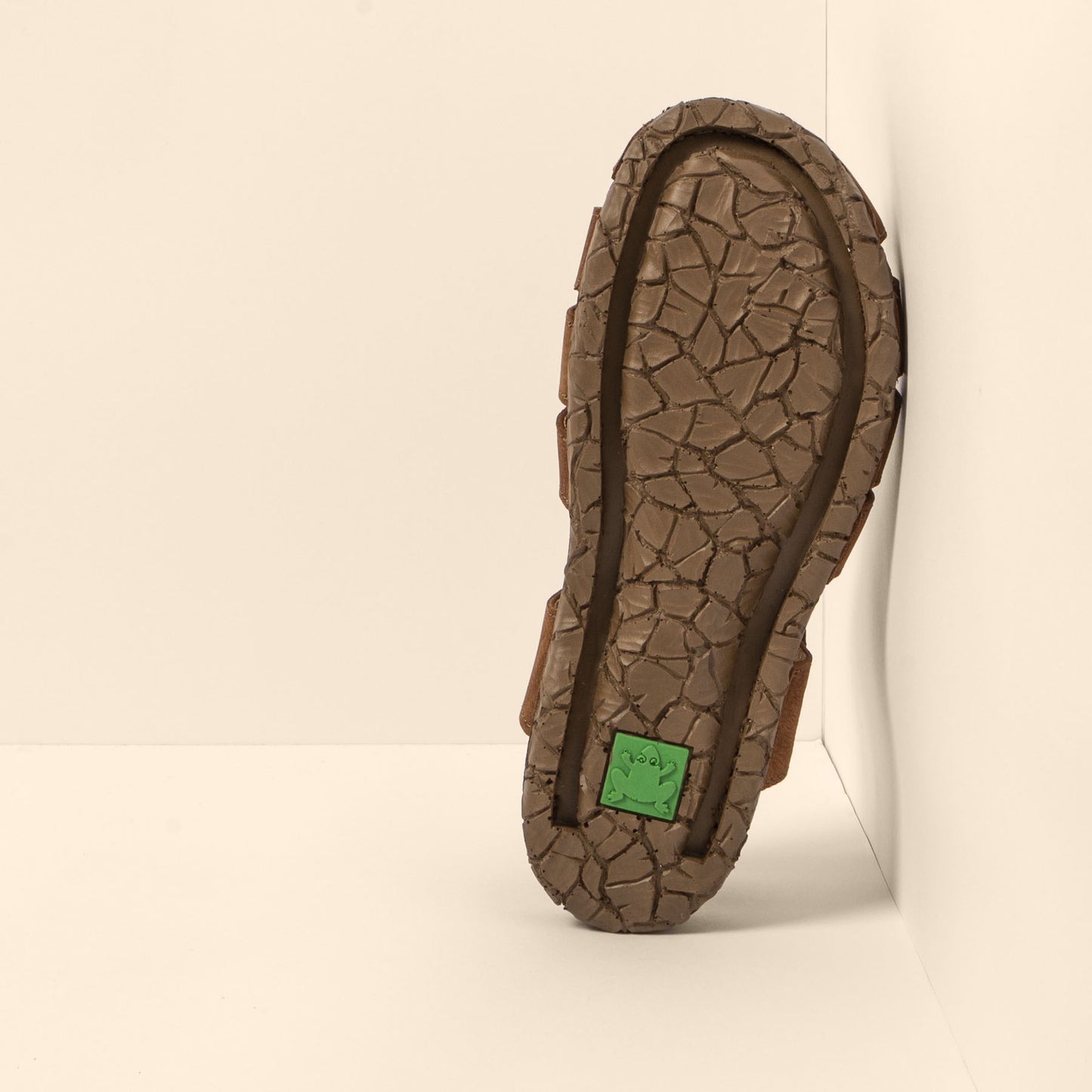 gid://shopify/Product/15700130496844_6