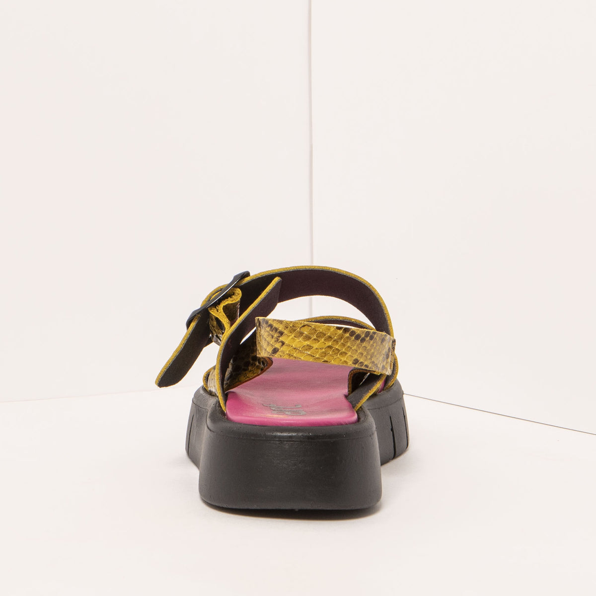 gid://shopify/Product/16172071223628_5
