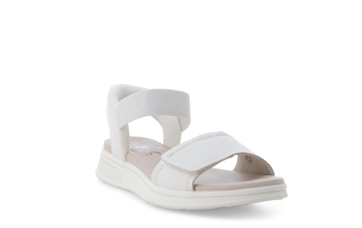 gid://shopify/Product/15761223319884_2
