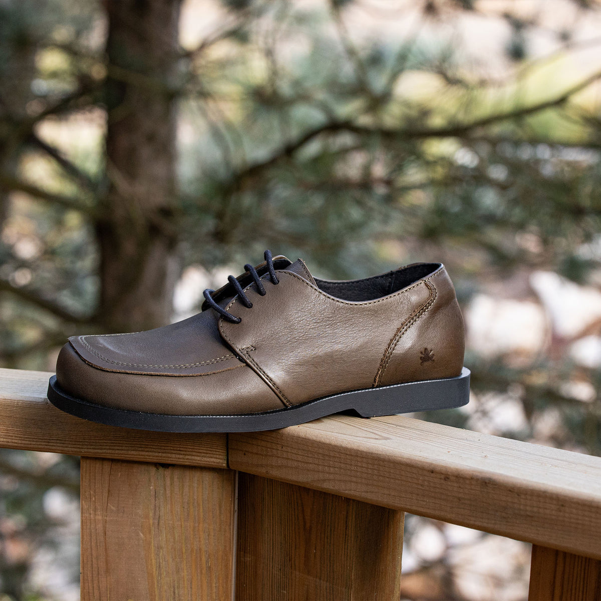 gid://shopify/Product/16124499034444_7