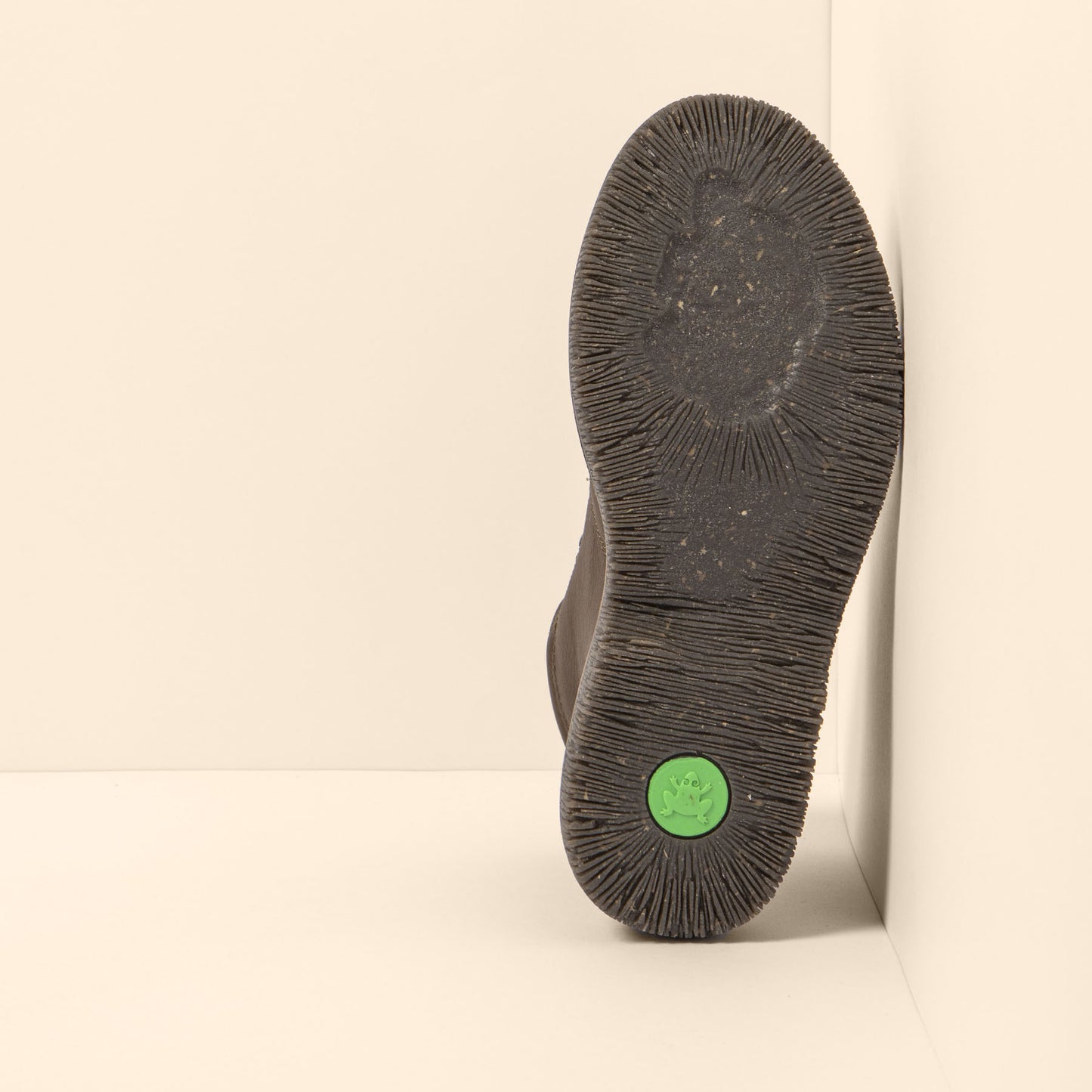 gid://shopify/Product/15700014432588_6