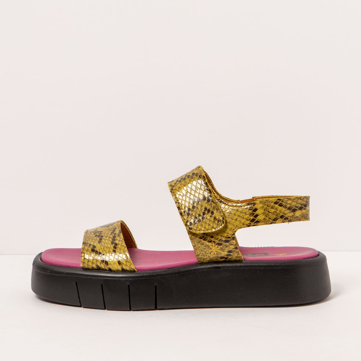 gid://shopify/Product/16172066406732_1