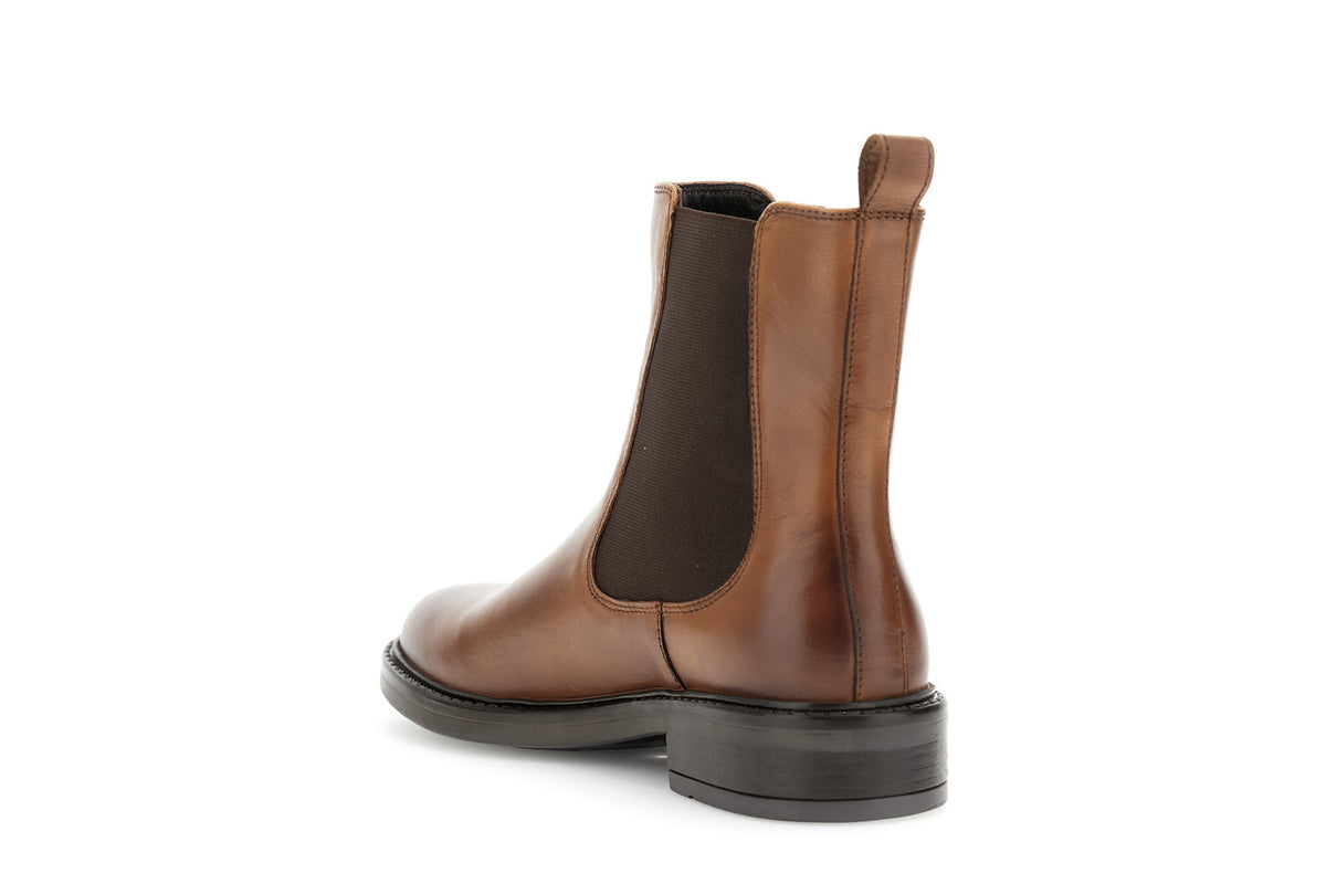 gid://shopify/Product/16122165100876_2