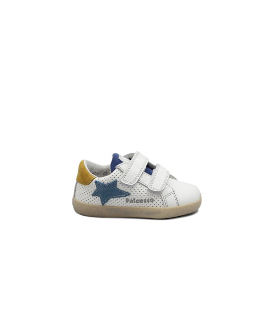 gid://shopify/Product/15738195640652_1