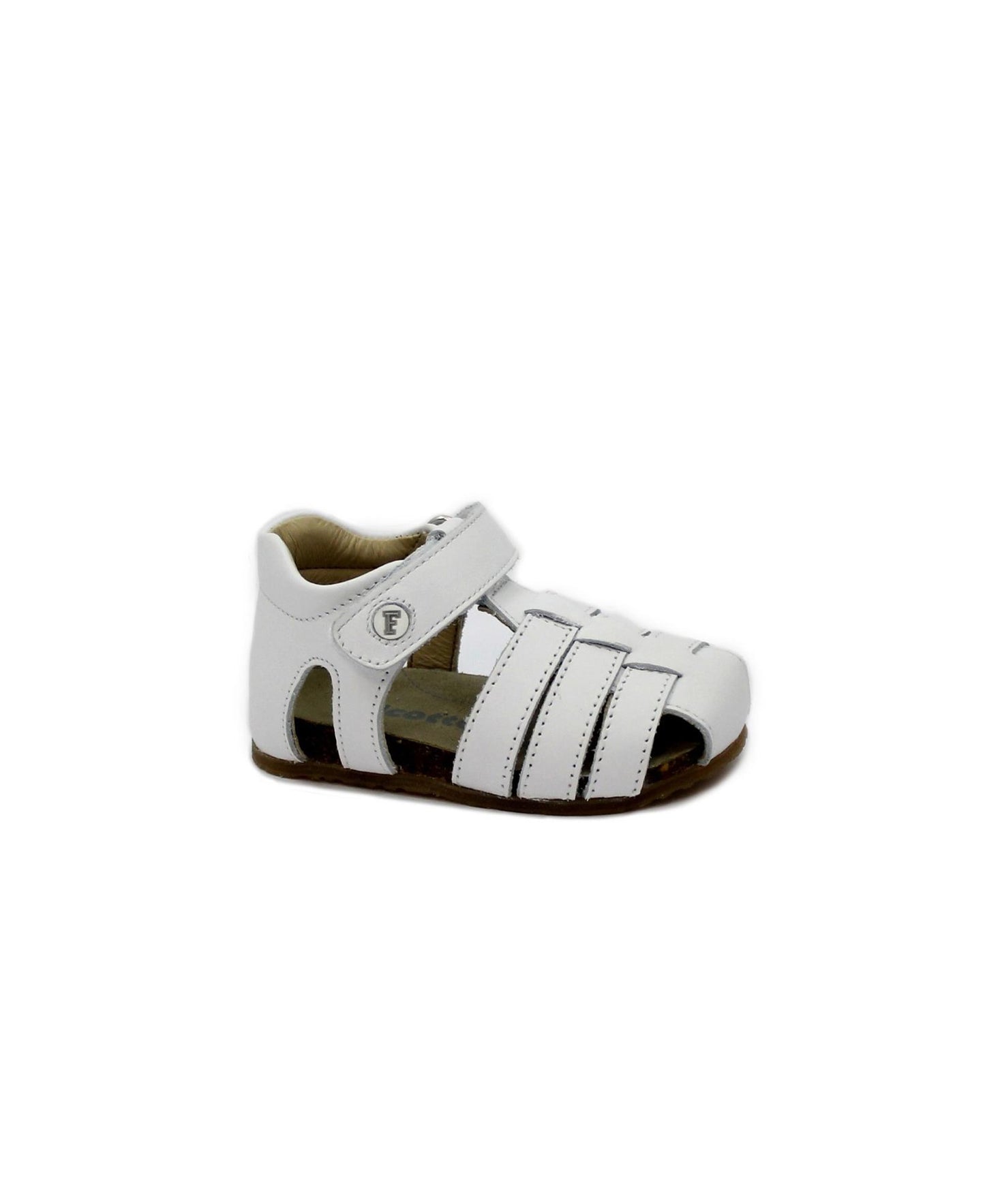 gid://shopify/Product/15740191244620_1