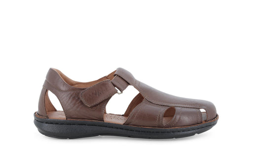 gid://shopify/Product/15761231839564_1