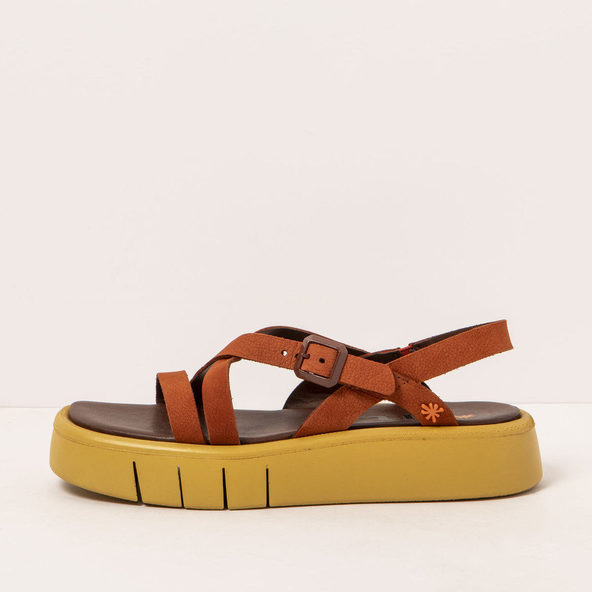 gid://shopify/Product/16172063359308_1