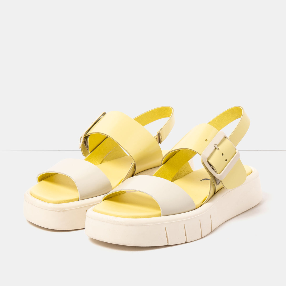 gid://shopify/Product/16172972900684_2