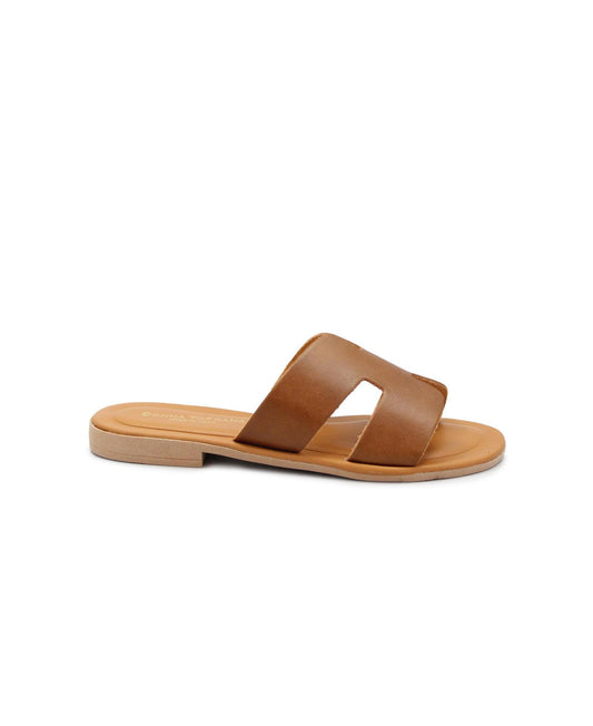 gid://shopify/Product/15738535084364_1