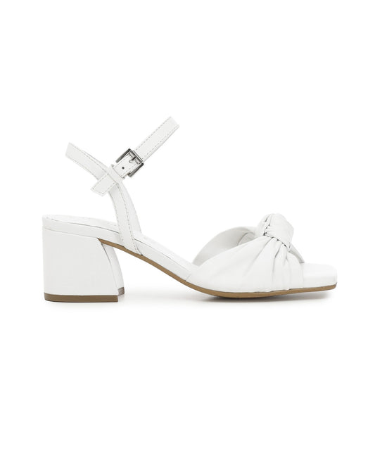 gid://shopify/Product/15740073509196_1