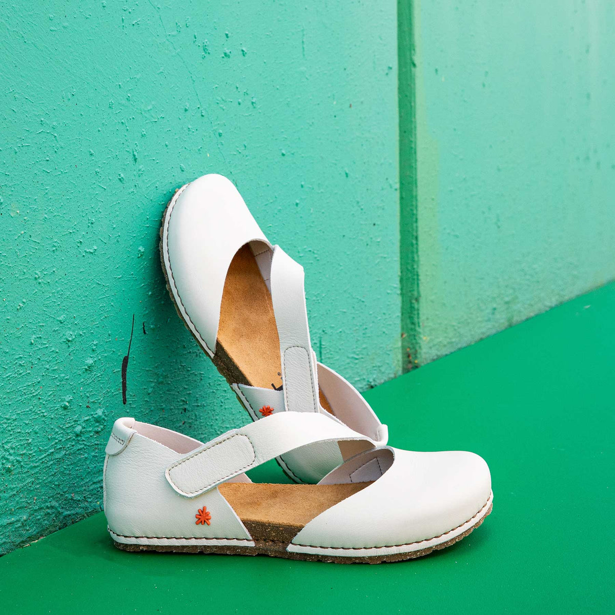 gid://shopify/Product/16172849332556_7