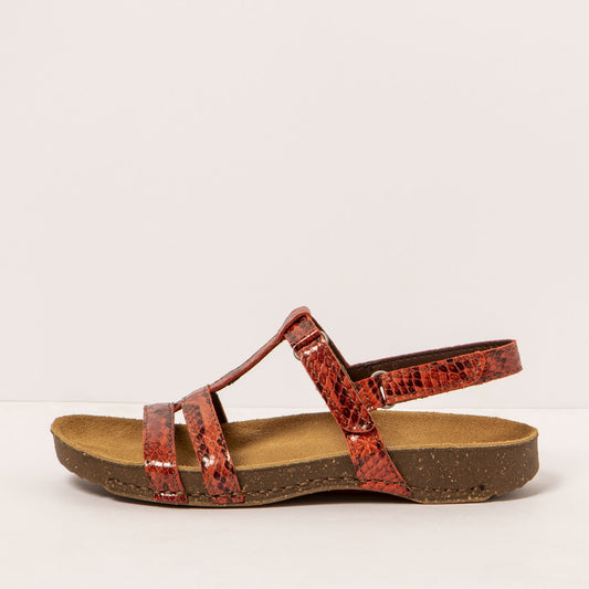 gid://shopify/Product/16171939594572_1