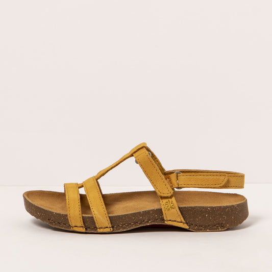 gid://shopify/Product/16171934613836_1