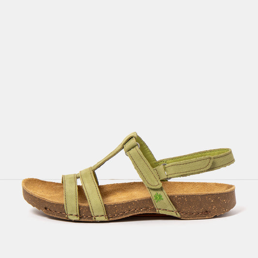 gid://shopify/Product/16172855198028_1