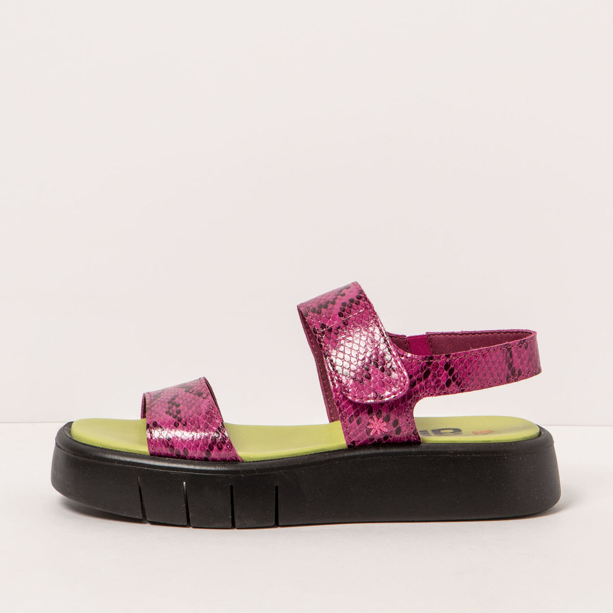 gid://shopify/Product/16172064932172_1