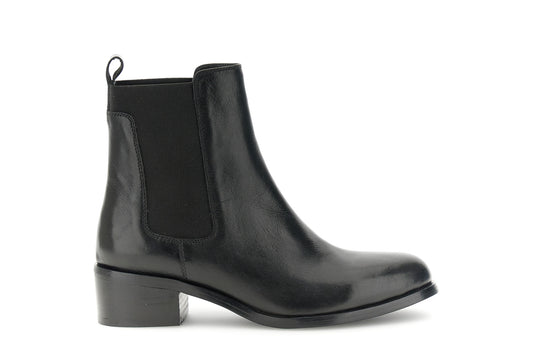 gid://shopify/Product/16122489045324_58877295558988