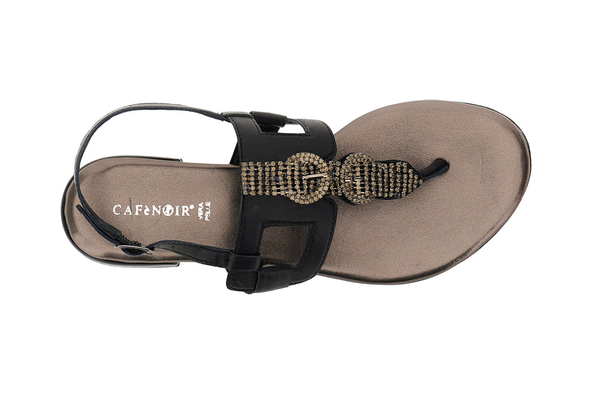 gid://shopify/Product/16122396737868_3