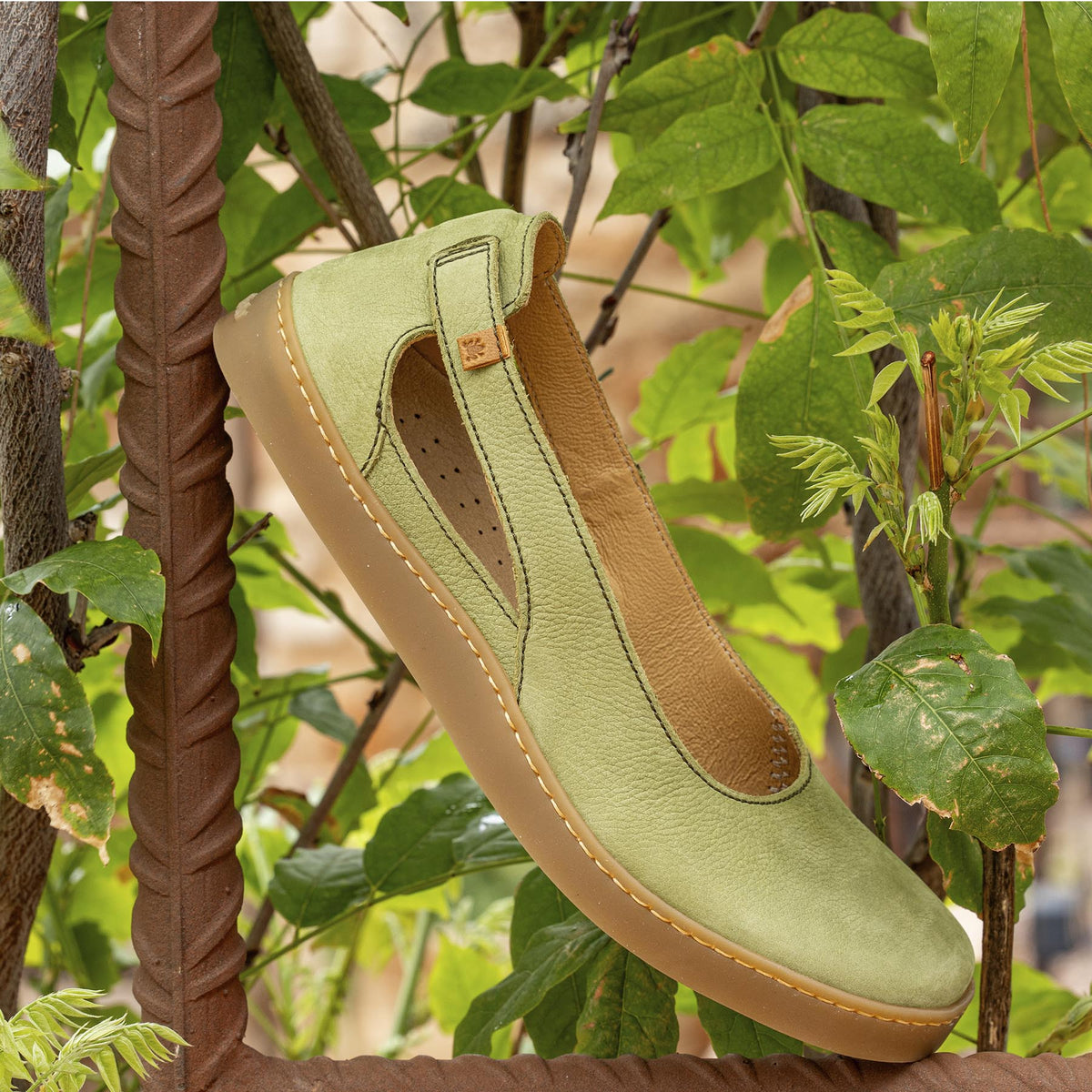 gid://shopify/Product/16124794962252_7