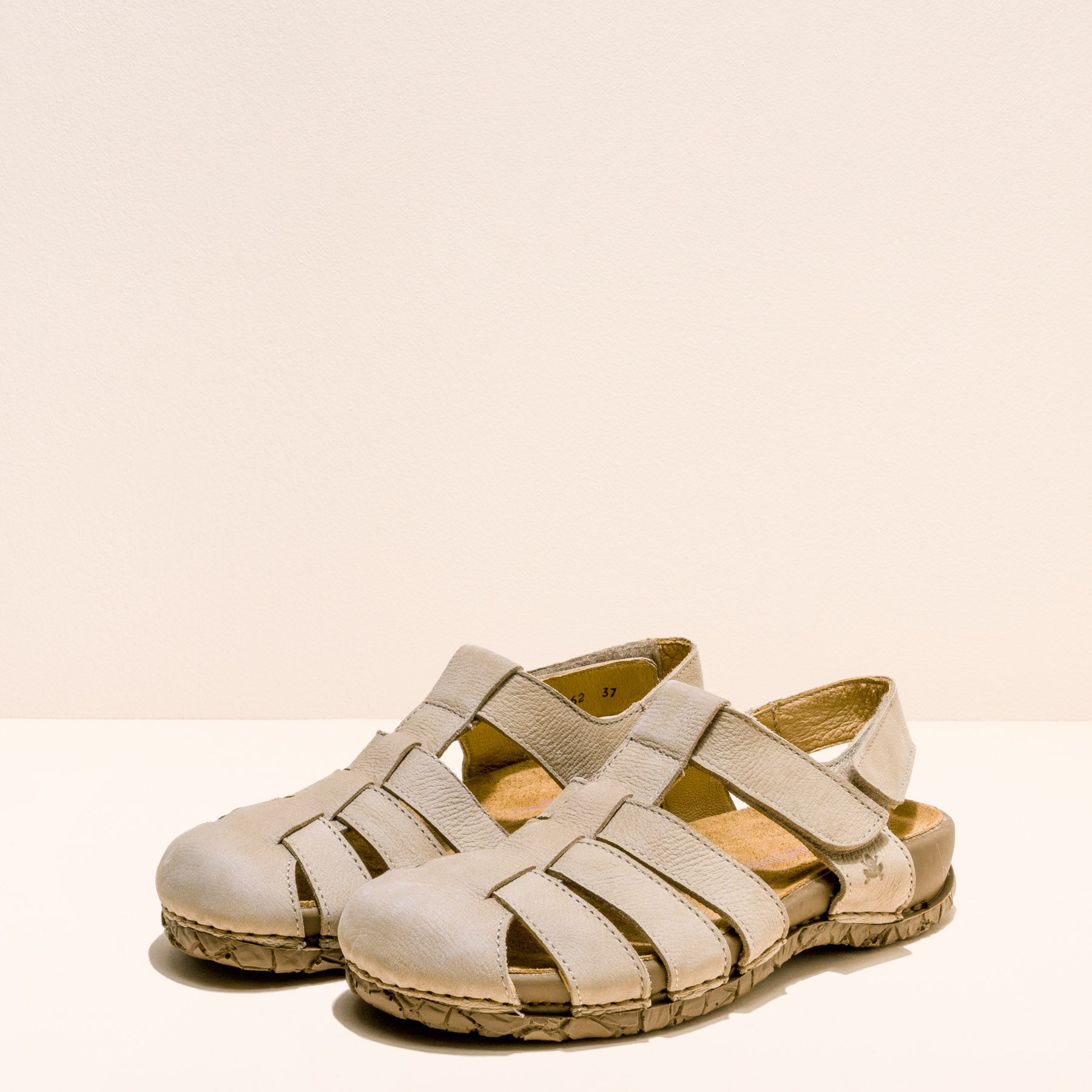 gid://shopify/Product/15700129939788_5