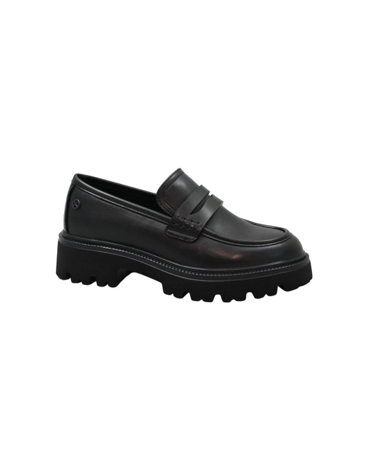 gid://shopify/Product/16091087405388_1