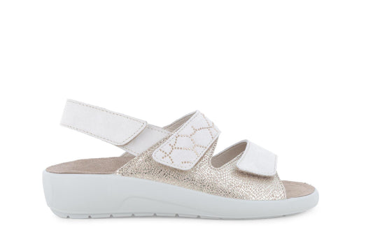 gid://shopify/Product/15761226727756_1
