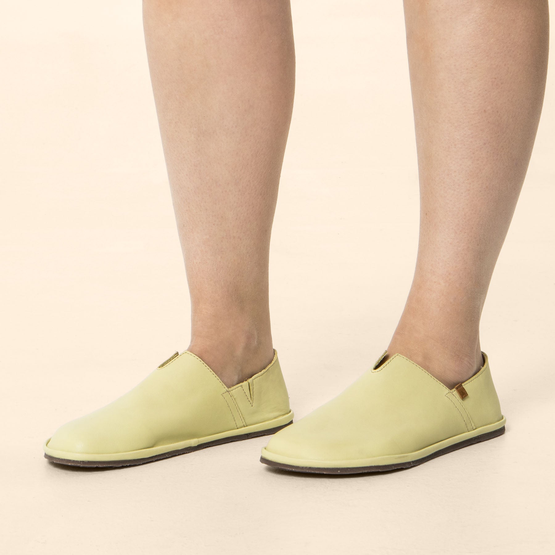 gid://shopify/Product/15700420788556_2