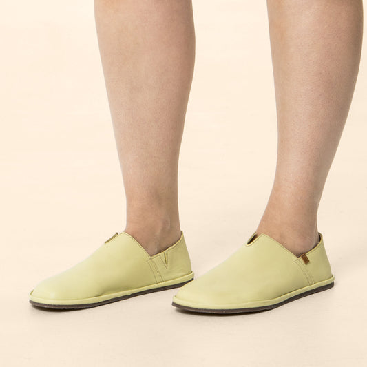 gid://shopify/Product/15700420788556_2