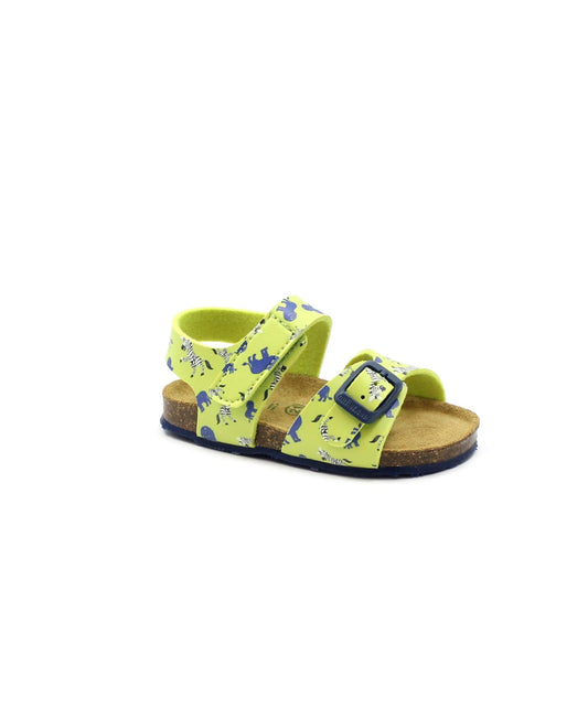 gid://shopify/Product/15740129902924_1