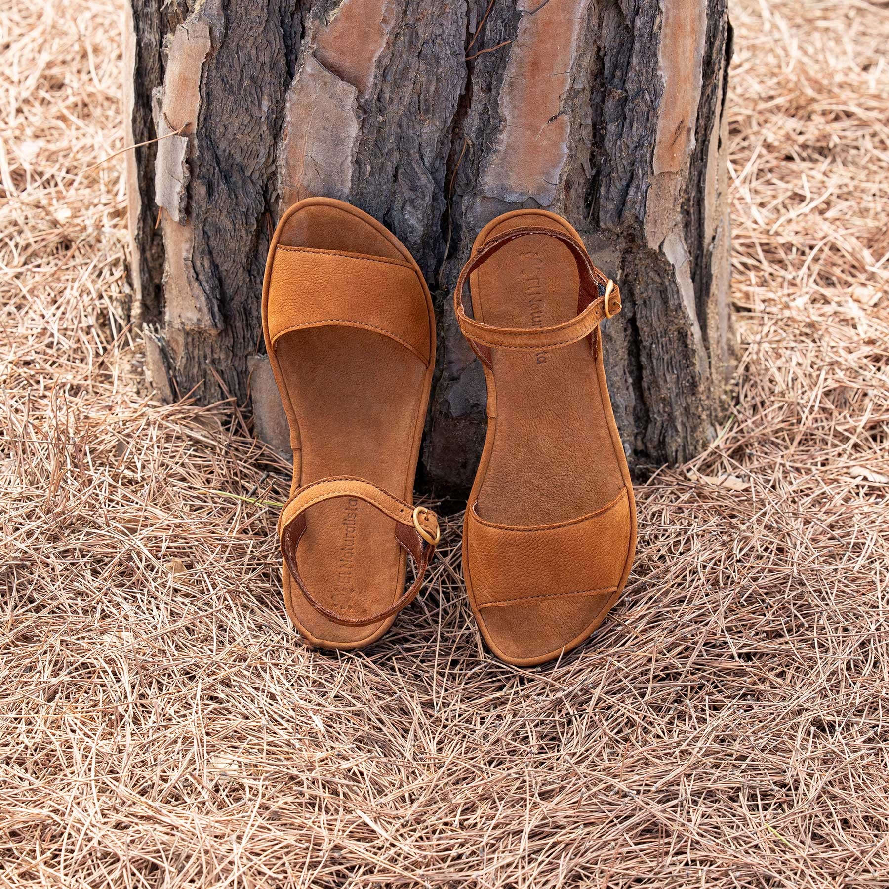 gid://shopify/Product/15700465779020_7
