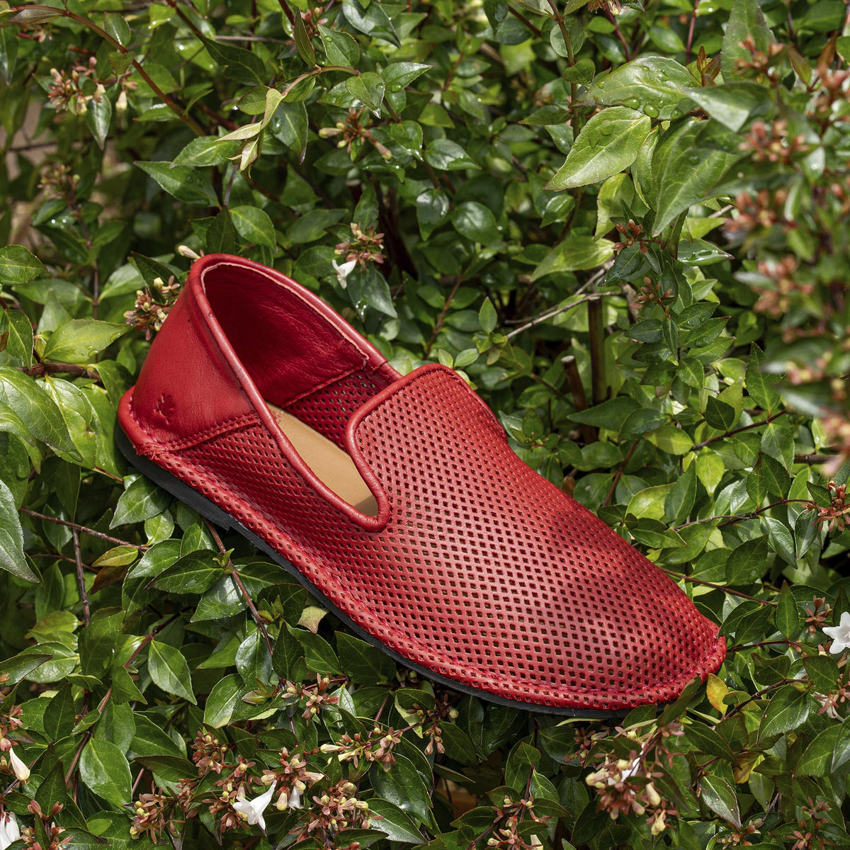 gid://shopify/Product/16124867313996_9