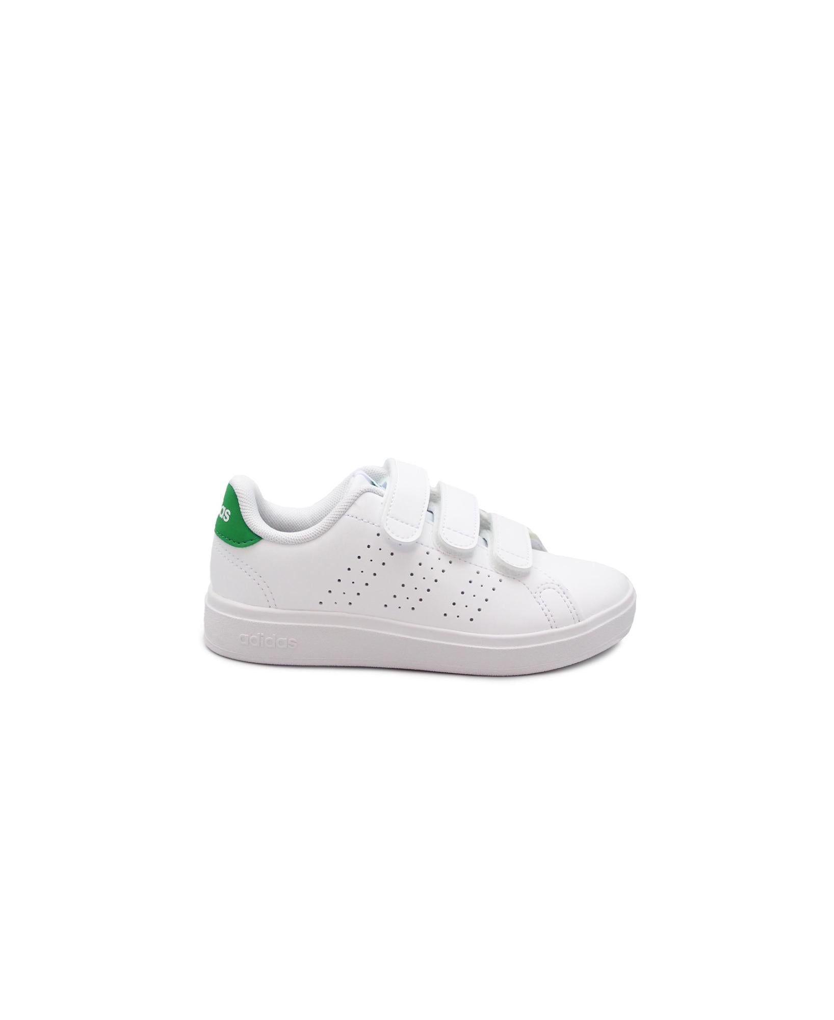 gid://shopify/Product/15738387169612_1
