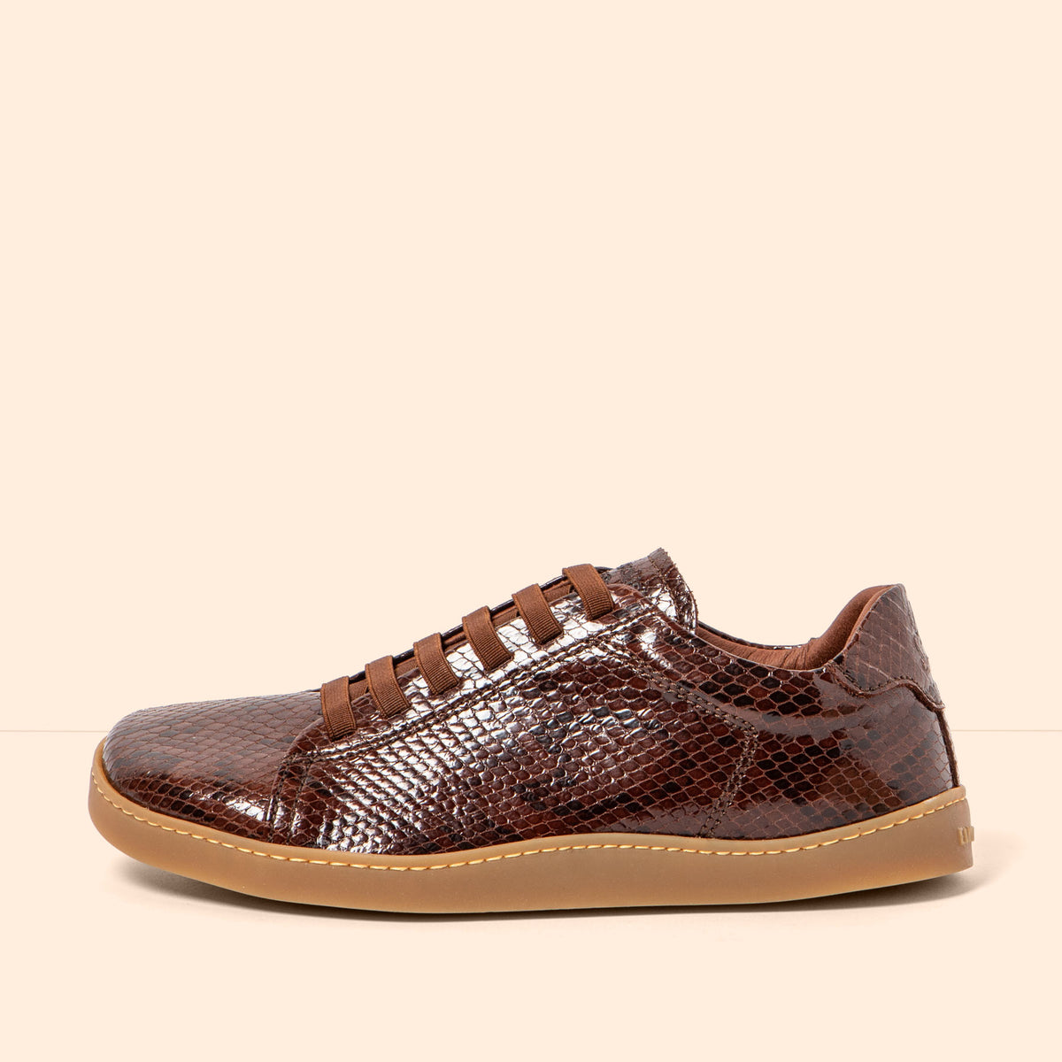 gid://shopify/Product/16124795715916_1