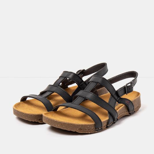 gid://shopify/Product/16172862472524_2