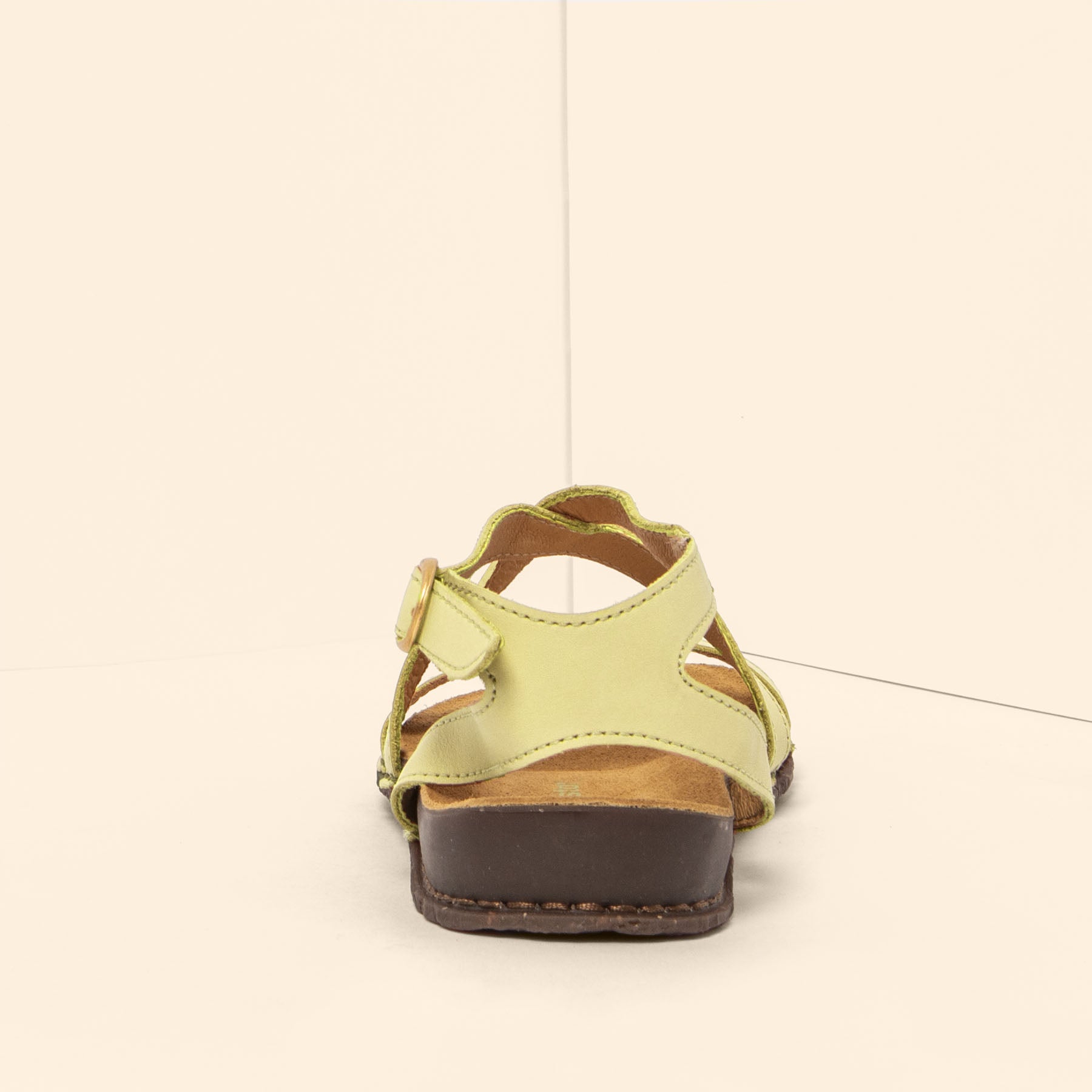 gid://shopify/Product/15700511261004_8