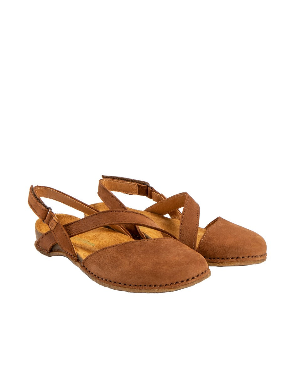 gid://shopify/Product/15791575171404_2