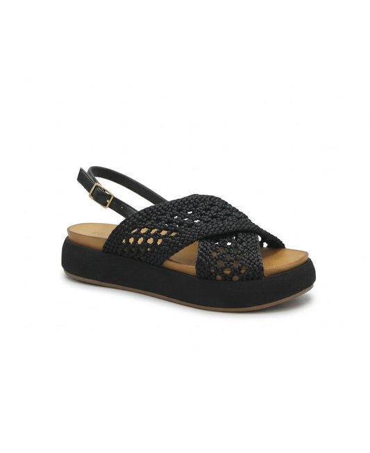 gid://shopify/Product/15738666221900_1