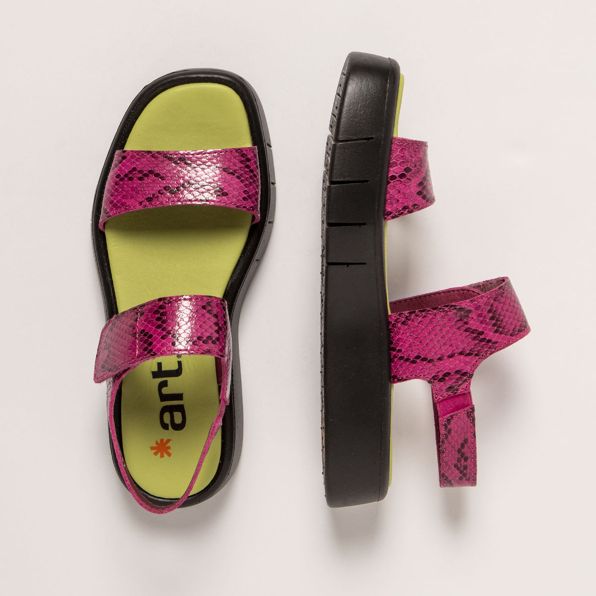 gid://shopify/Product/16172064932172_4