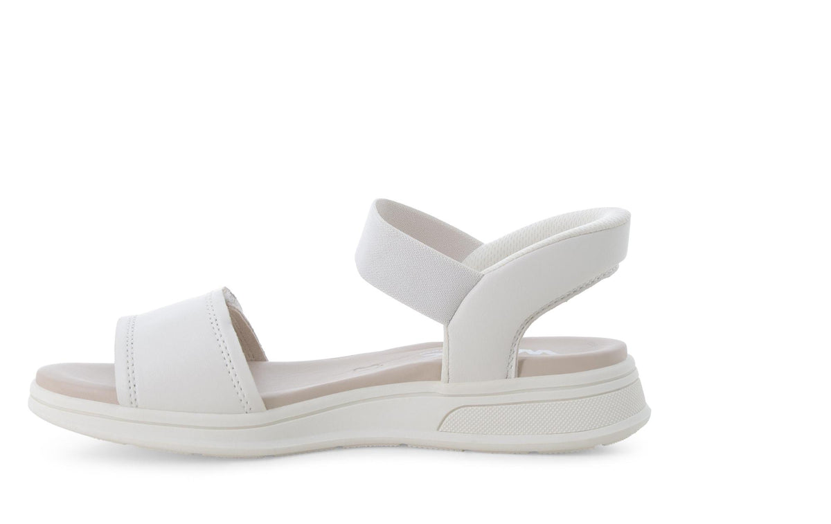 gid://shopify/Product/15761223319884_4