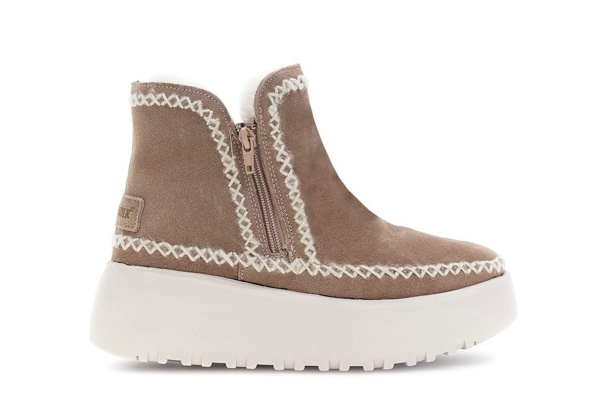 gid://shopify/Product/16122089537868_58874535870796