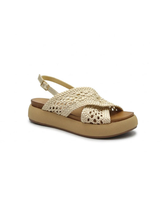 gid://shopify/Product/15738667172172_1