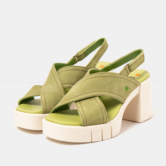 gid://shopify/Product/16173032538444_2