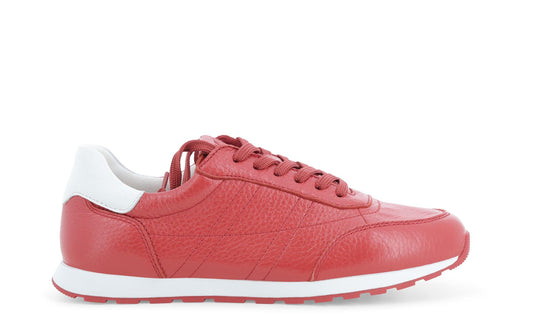 gid://shopify/Product/15686341460300_1