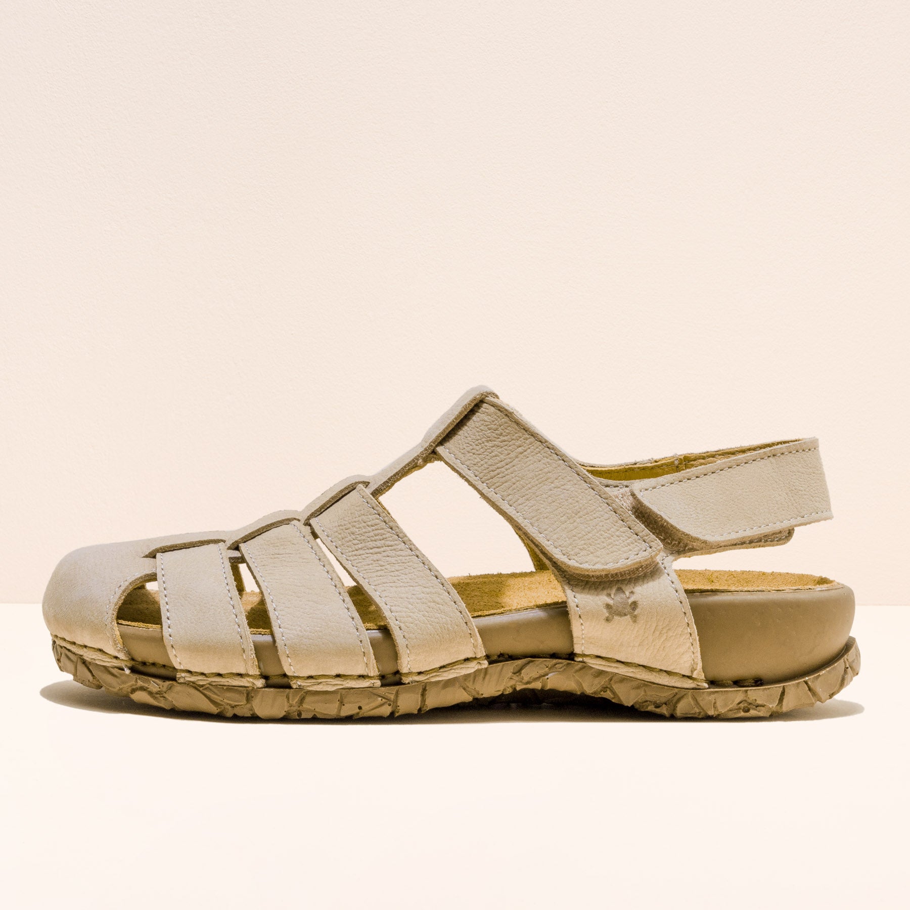 gid://shopify/Product/15700129939788_4